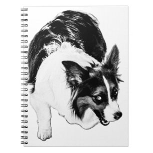 Cider Season Sentinel Notebook