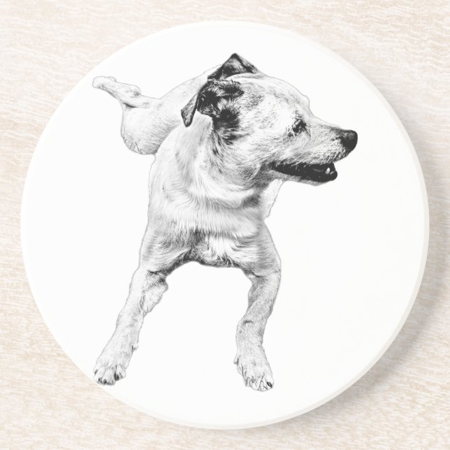 Cider Table, Cheerful Pivot Coaster (Front)