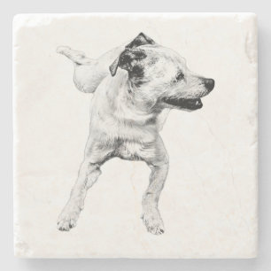 Cider Table, Cheerful Pivot Stone Coaster