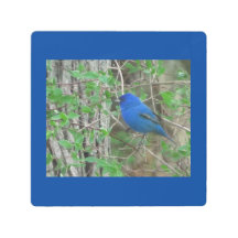 Ciel bleu