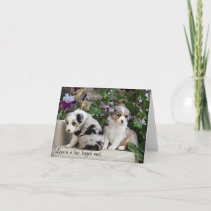 Ciel bleu Aussies Carte pour notes Chiots 1