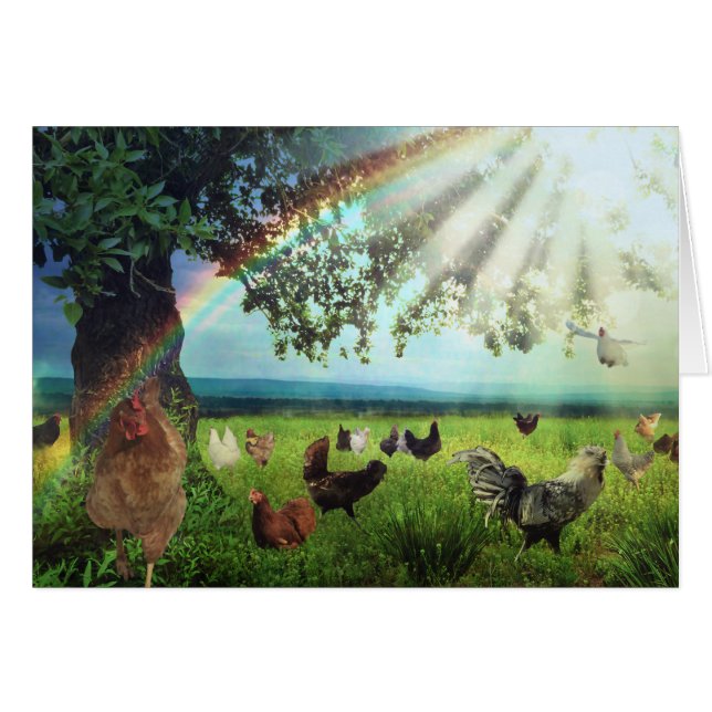 Ciel de poulet (Devant horizontal)