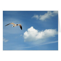 Ciel d'été