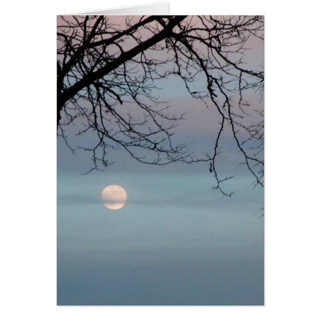 Ciel en pastel (Devant)