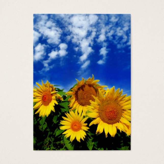 Ciel et fleur, cartes de profil (Devant)
