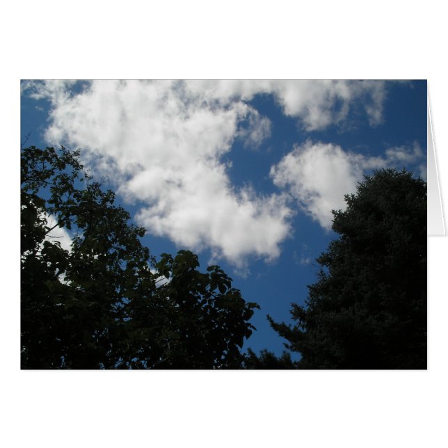 CIEL MAGNIFIQUE (Devant horizontal)