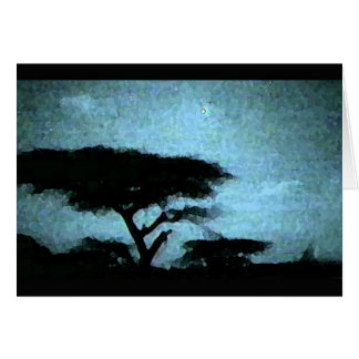 Ciel nocturne