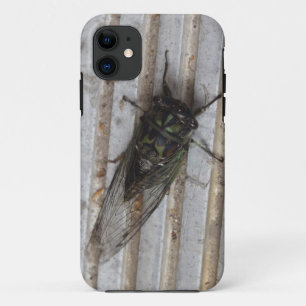 Cigale sur votre étui de téléphone