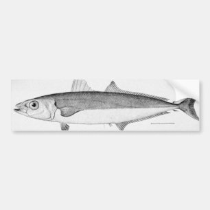 Cigar Fish Bumper Sticker