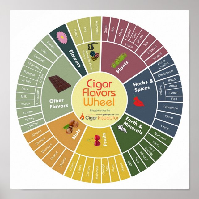 Cigar Flavours Wheel Poster (Front)