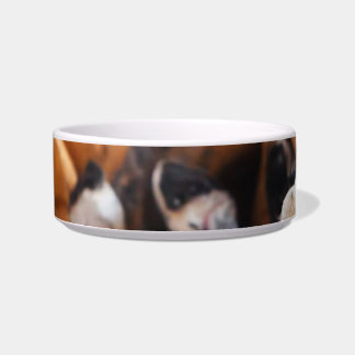 Cigarette Butts Bowl