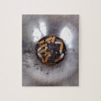 Cigarette Butts in Silver Smokers Ashtray, Funny