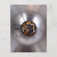 Cigarette Butts in Silver Smokers Ashtray, Funny