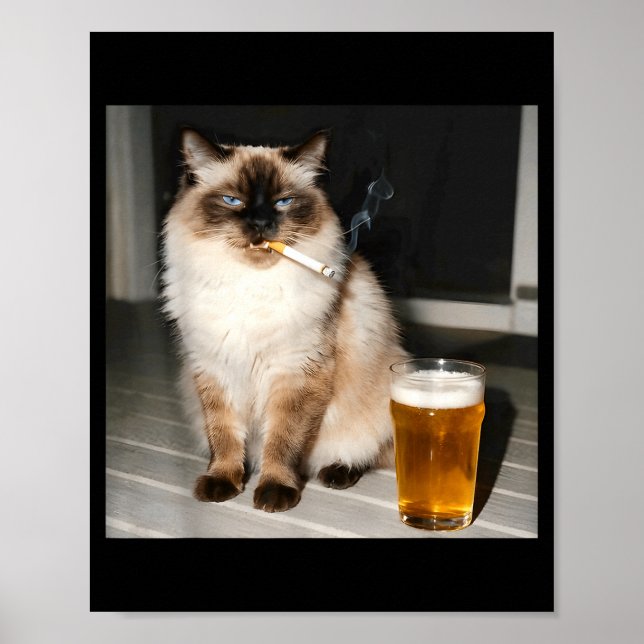 Cigarette Cat Funny Ragdoll Cat Smoking Kitten Bee Poster (Front)