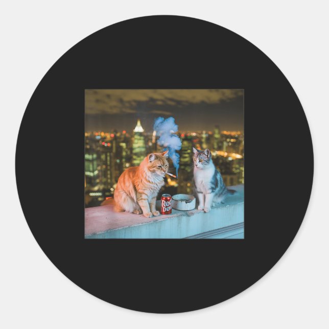 Cigarette Kitten Funny Smoking Cat Meme Stud Brain Classic Round Sticker (Front)