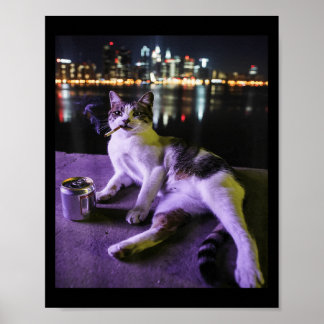 Cigarette Kitten Funny Smoking Cat Meme Stupid Bra Poster