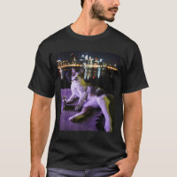 Cigarette Kitten Funny Smoking Cat Meme Stupid Bra