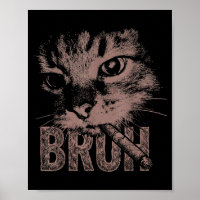 Cigarette kitten funny smoking cat meme stupid