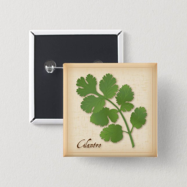 Cilantro Herb 2 Inch Square Button (Cilantro Herb Button, aromatic leaves with a distinctive flavor.)