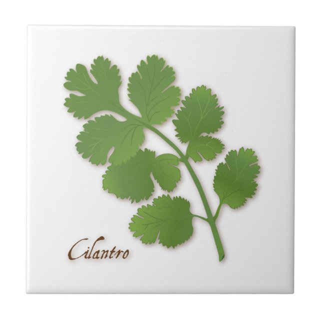 Cilantro Herb Ceramic Tile (Front)