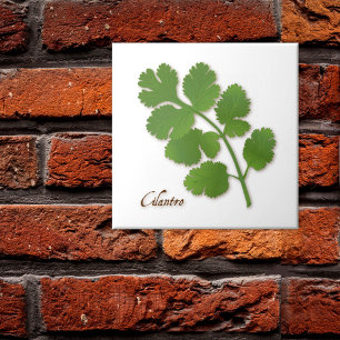 Cilantro Herb Ceramic Tile