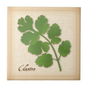 Cilantro Herb Tile