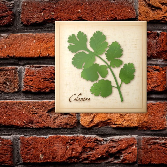Cilantro Herb Tile (Cilantro Herb Ceramic Tile, aromatic leaves with a distinctive flavor. )