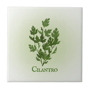 Cilantro Herbal Design Ceramic Tile
