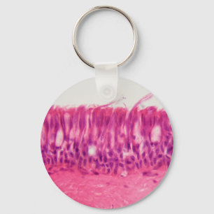 Ciliated epithelium under the microscope. keychain