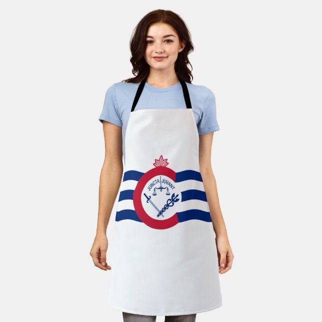 Cincinnati City flag Apron (Worn)