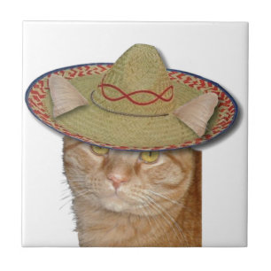 Cinco de Gato Tile