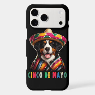 Cinco De Mayo Bernese Dog with Poncho And Sombrero