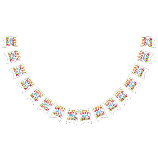 cinco de mayo birthday funny pun bunting flags (All)