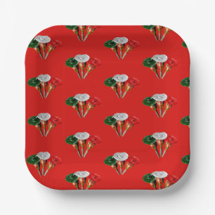 Cinco de mayo ,fiesta mexican paper plates