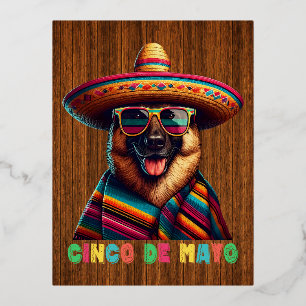 Cinco De Mayo German Shepherd With Poncho Sombrero Foil Holiday Postcard