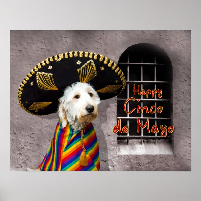 Cinco de Mayo Poster - Dog in Sombrero - Humour (Front)