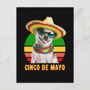 Cinco De Mayo Sombrero Chihuahua With Sunglasses Postcard
