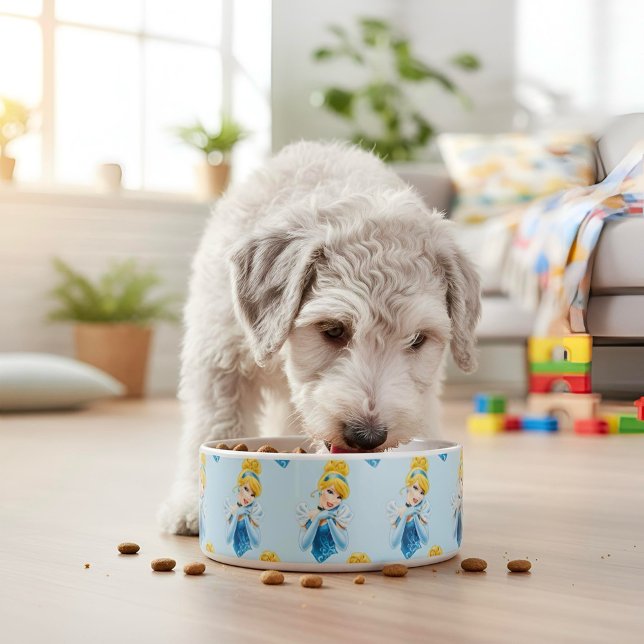 Cinderella Bowl (Creator Uploaded)