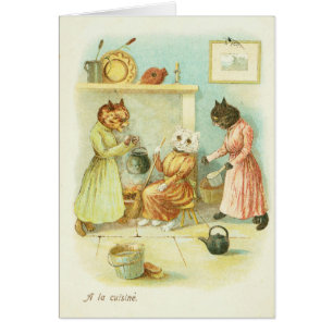Cinderella Cat