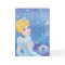 Cinderella Princess