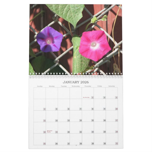 Cindy's Garden Collection Calendar (Jan 2026)