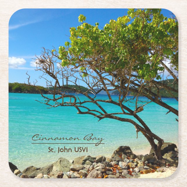 Cinnamon Bay St. John USVI Tropical Coaster (Front)