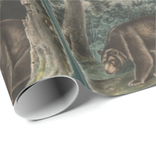 Cinnamon Bear by John James Audubon Wrapping Paper