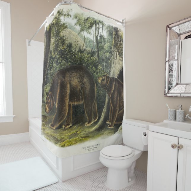 Cinnamon Bear from Audubon's Quadrupeds (In Situ)