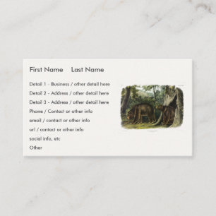Cinnamon Bear from Audubon's Quadrupeds Business Card