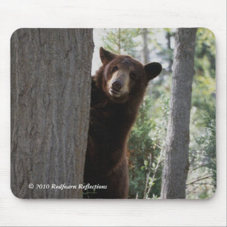 Cinnamon bear mouse pad