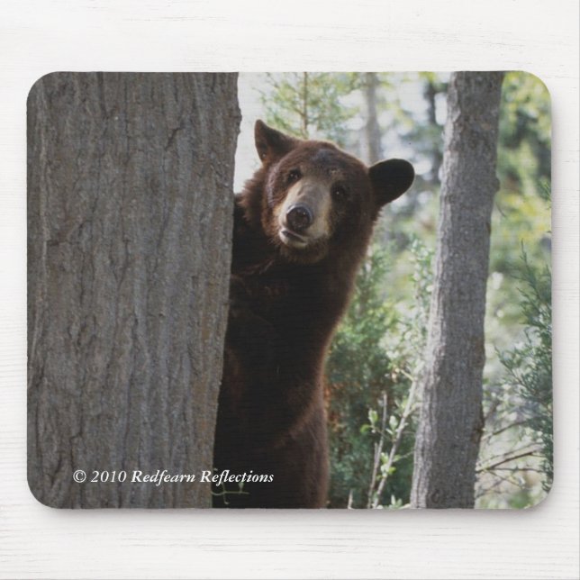 Cinnamon bear mouse pad (Front)