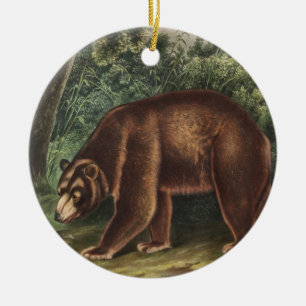 Cinnamon Bear (Ursus Americanus var. Cinnamonum) Ceramic Ornament