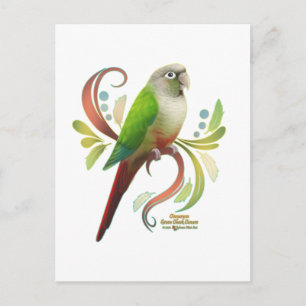Cinnamon Green Cheek Conure Postcard