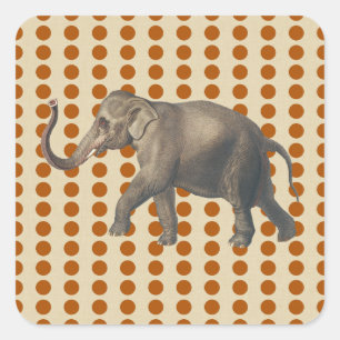 Cinnamon Spice Moods Dots with Elephant Square Sticker